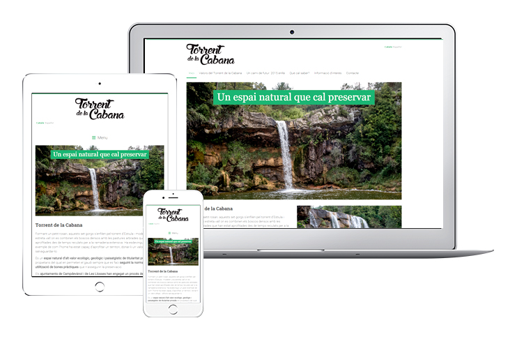 diseno-web-responsive-torrent-de-la-cabana-1